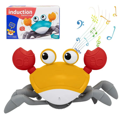 Baby Crawling Crab